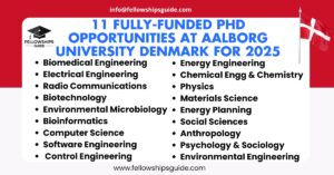11 Fully-Funded PhD Opportunities at Aalborg University Denmark for 2025