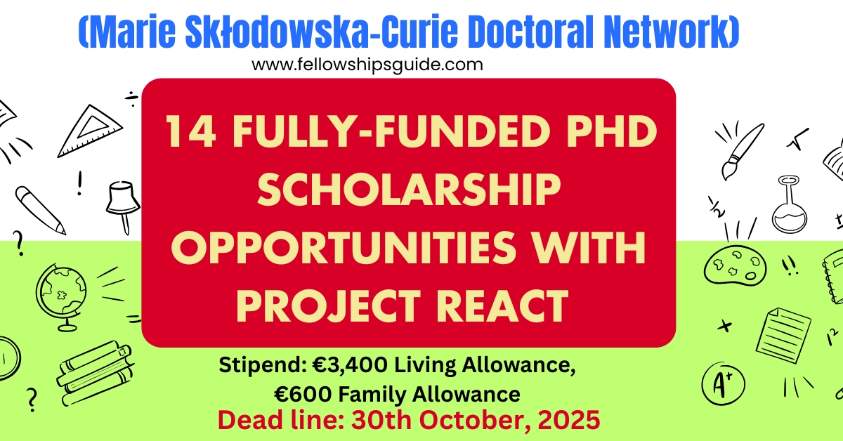 14 Fully-Funded PhD Scholarship Opportunities with Project REACT