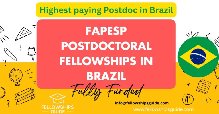FAPESP Postdoctoral Fellowships in Brazil