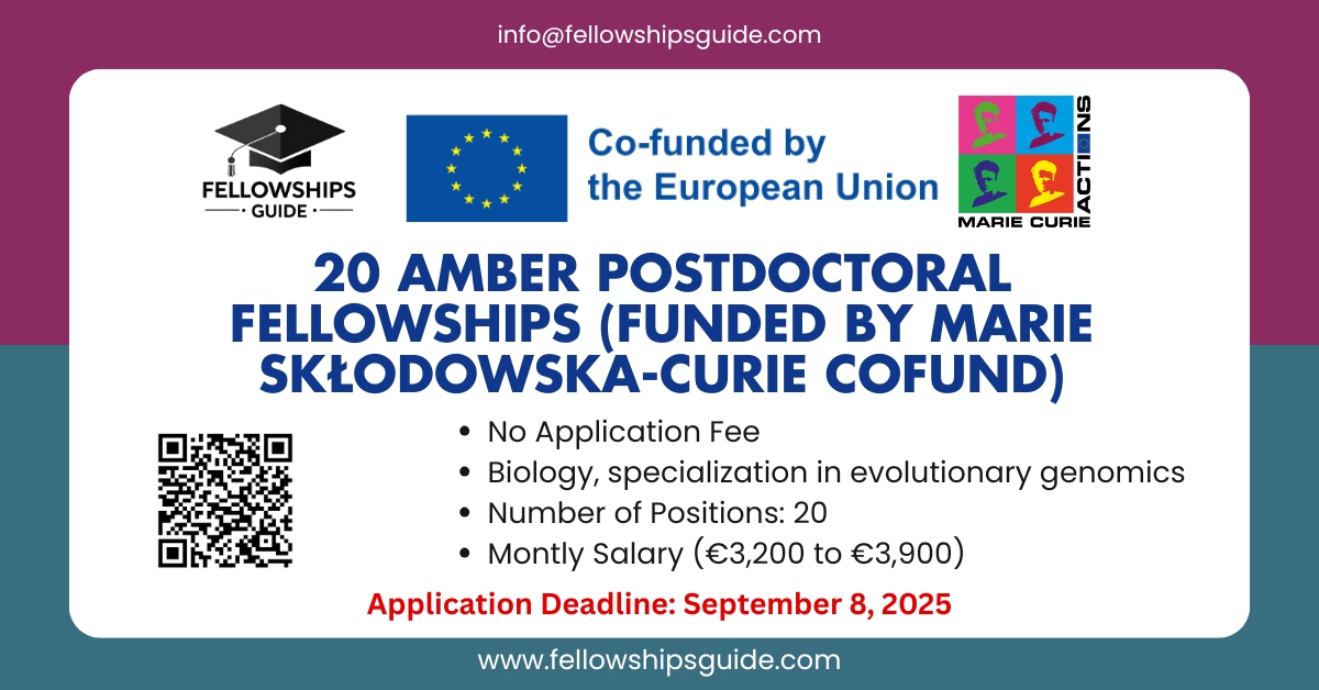 20 AMBER Postdoctoral Fellowships (Funded By Marie Skłodowska-Curie COFUND)