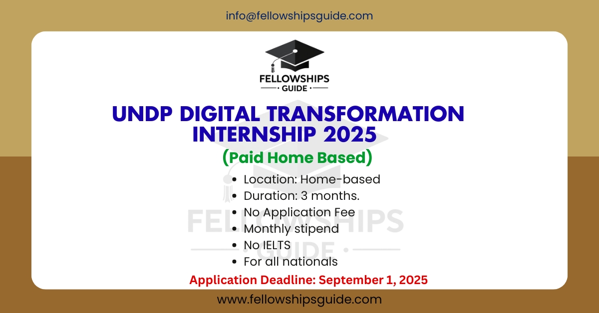 UNDP Digital Transformation Internship 2025